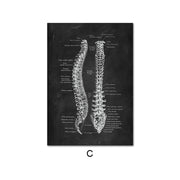 Canvas Painting Of Human Anatomy Skeleton Organ System