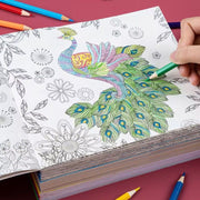 Elementary School Student Coloring Book Secret Garden Decompression