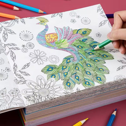 Elementary School Student Coloring Book Secret Garden Decompression