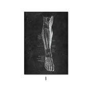 Canvas Painting Of Human Anatomy Skeleton Organ System