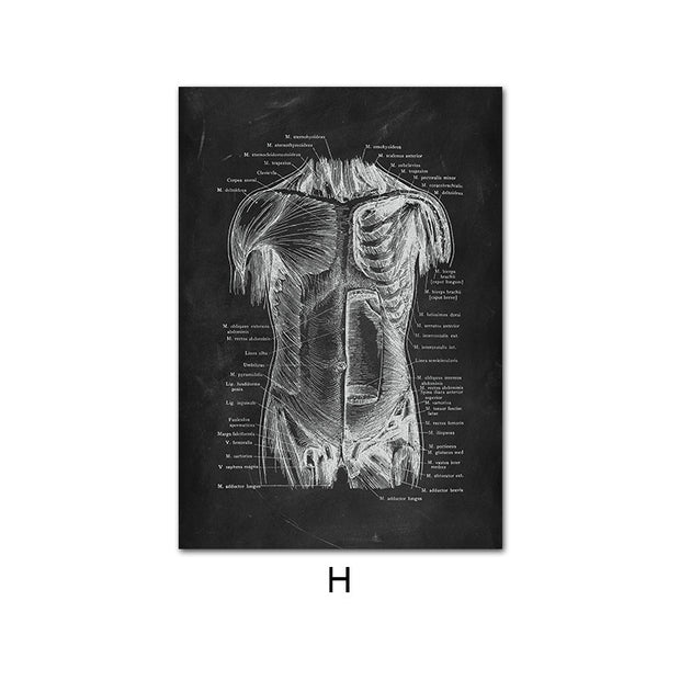 Canvas Painting Of Human Anatomy Skeleton Organ System