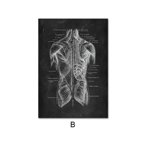 Canvas Painting Of Human Anatomy Skeleton Organ System