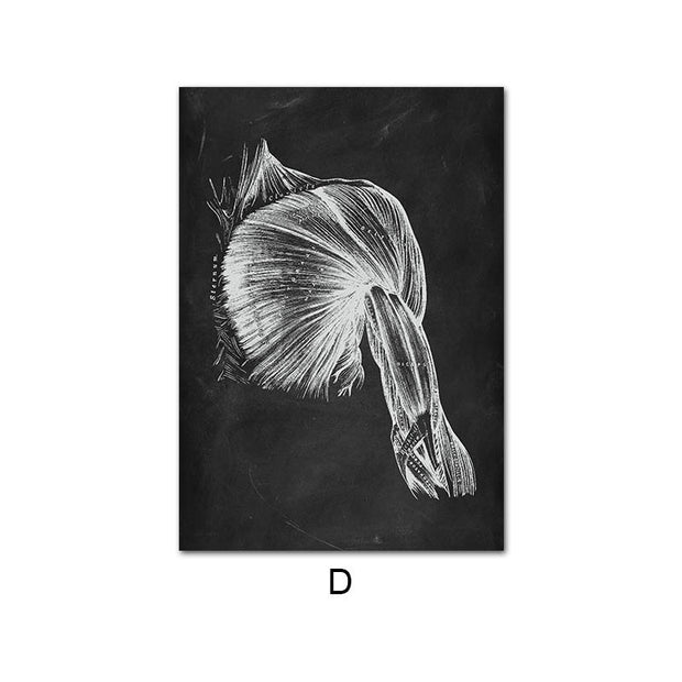 Canvas Painting Of Human Anatomy Skeleton Organ System